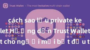 cách sao lưu private key trust wallet Hướng dẫn Trust Wallet cho người mới bắt đầu tại Việt Nam